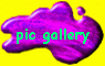 pic gallery