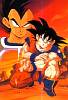 gokuginoccio.jpg