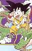 gokuride.jpg