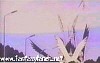 evangelion134.jpg