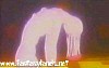 evangelion149.jpg