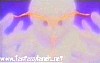 evangelion152.jpg