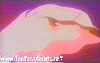 evangelion157.jpg