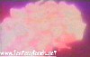 evangelion158.jpg