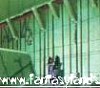 evangelion169.jpg