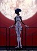 evangelion245.jpg