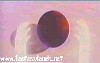 evangelion44.jpg