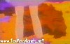 evangelion49.jpg