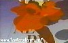 evangelion94.jpg