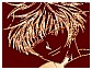 haru_manga_7v5n96KCQ.gif