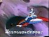 starzingerimg011.jpg