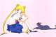 bunny2.jpg