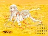 calendar210.jpg