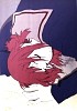 flcl11.jpg