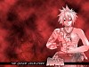 kahwui_wp030.jpg