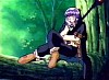 bored_in_tree.jpg