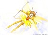 Yui014.jpg