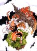 amgpcd04.jpg