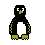 anim9.gif