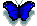 butfly1.gif