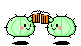 kanpaib.gif