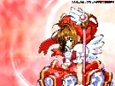 ccs_06.jpg