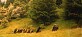 fellowship24_large.jpg