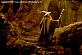 gandalf2.jpg