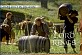 hobbit_rollbarrel.jpg